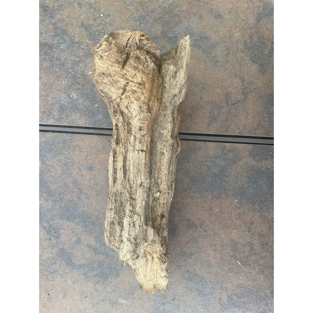 Natural Driftwood for Plants Terrarium Taxidermy Art Projects